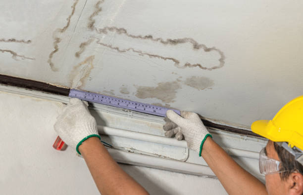 Reliable Sewage Cleanup contractor in Forestville, CA by Water Damage Irwin